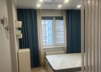 1-комнатная квартира в аренду, 36 м2, Санкт-Петербург, бульвар Александра Грина, 2к1