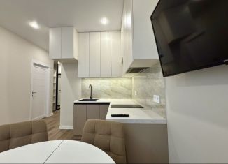 Сдача в аренду 1-комнатной квартиры, 35.2 м2, Свердловская область, улица Айвазовского, 52