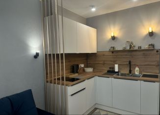 Аренда квартиры студии, 30 м2, Ростов-на-Дону, Горсоветская улица, 49/2