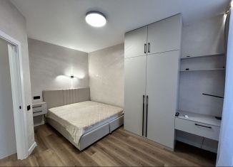 Сдам в аренду 1-ком. квартиру, 30 м2, Ростов-на-Дону, проспект 40-летия Победы, 111/3с2