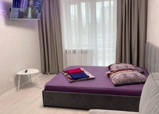 1-ком. квартира в аренду, 41 м2, Сыктывкар, улица Пушкина, 65, ЖК Графика