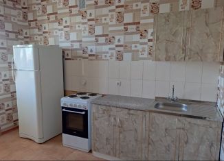 Сдается в аренду 1-ком. квартира, 45 м2, Орловская область, Артельный переулок, 24