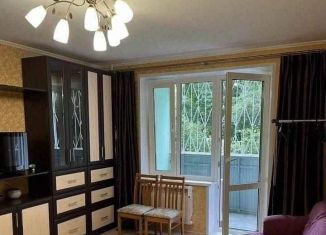 Сдам однокомнатную квартиру, 35 м2, Москва, Брошевский переулок, 8, ЦАО