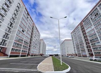 Продается двухкомнатная квартира, 48 м2, село Чигири, улица Василенко, 5