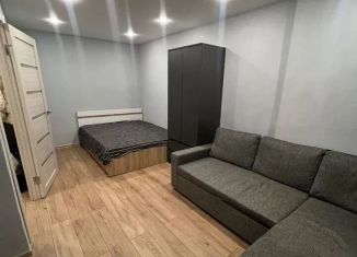 Сдается 1-комнатная квартира, 36 м2, Татарстан, проспект Ибрагимова, 45