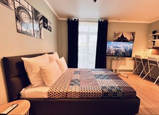 Аренда квартиры студии, 27 м2, Котельники, Сосновая улица, 1к1