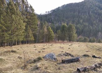 Участок на продажу, 1400 сот., Республика Алтай, улица Кучияк