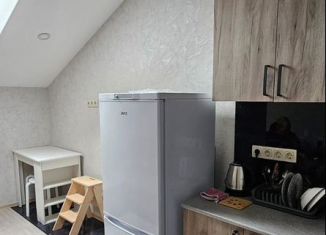 Сдам в аренду квартиру студию, 21 м2, деревня Марьино, Жемчужная улица, 1к14