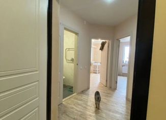 Продается 1-ком. квартира, 26.3 м2, деревня Куюки, Школьная улица, 13