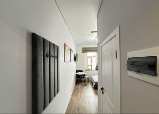 Продажа квартиры студии, 21 м2, Санкт-Петербург, Большая Посадская улица, 1