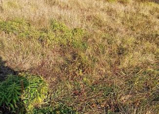 Продаю участок, 6 сот., деревня Добрунь