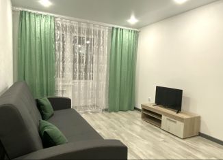 Сдаю в аренду 1-ком. квартиру, 38 м2, Йошкар-Ола, улица Йывана Кырли, 35А, микрорайон Дружный