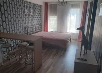 Двухкомнатная квартира в аренду, 33 м2, Иркутск, проспект Маршала Жукова, 70А