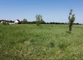 Продажа участка, 30 сот., деревня Мари-Луговая, Мари-Луговая улица