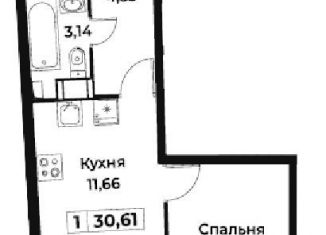 Продажа 1-комнатной квартиры, 30.6 м2, Мурино, ЖК Авиатор