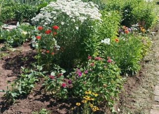 Дача на продажу, 24 м2, СДТ Ключи