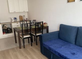 Продам 3-ком. квартиру, 52 м2, Люберцы, улица Лётчика Ларюшина, 4к2, ЖК Жулебино Парк