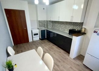 Сдается в аренду 1-ком. квартира, 43.5 м2, Красноярск, Норильская улица, 6А, ЖК Озеро Парк