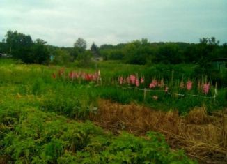 Дом на продажу, 35 м2, село Синий Гай, Садовая улица