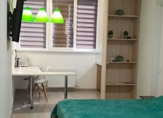 Квартира на продажу студия, 24 м2, Краснодар, Степная улица, 1/1к4, ЖК Мозаика