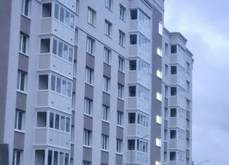 Продажа однокомнатной квартиры, 35 м2, Бор, улица Максимова, 1