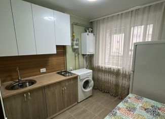 Сдается в аренду 1-ком. квартира, 25.5 м2, деревня Крутые Выселки, улица Герасимова