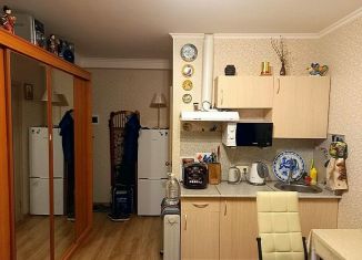 Продается квартира студия, 18.3 м2, Москва, Покровская улица, 17к3, метро Некрасовка