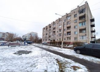 Продажа 1-комнатной квартиры, 28 м2, деревня Большое Буньково, микрорайон Фабрики, 44