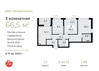 3-комнатная квартира на продажу, 66.5 м2, Всеволожск