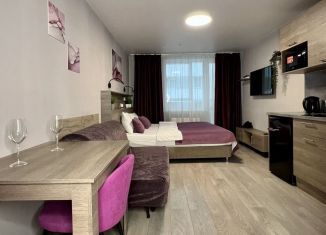 Сдается в аренду квартира студия, 30 м2, Санкт-Петербург, метро Московские ворота, Детский переулок, 2