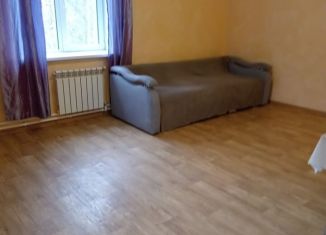 Аренда квартиры студии, 30 м2, Новосибирск, Рубежная улица, 2/3