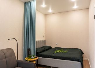 Сдам в аренду 1-ком. квартиру, 30 м2, Пионерский, улица Гептнера, 15