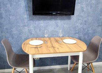 Сдается 1-ком. квартира, 31 м2, Сочи, Бамбуковая улица, 42А, микрорайон Новый Сочи