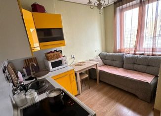 1-комнатная квартира в аренду, 30 м2, Верхняя Пышма, улица Александра Козицына