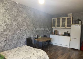 Продам квартиру студию, 27.3 м2, Новосибирская область, улица Попова, 35