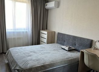 Сдача в аренду 1-ком. квартиры, 45 м2, Владивосток, улица Адмирала Горшкова, 85