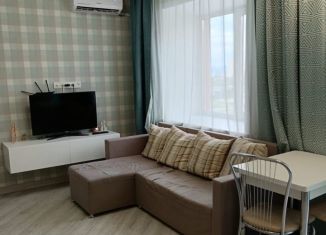 Сдаю квартиру студию, 34 м2, Хабаровский край, улица 65-летия Победы, 1/1