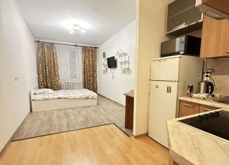 Продается квартира студия, 25 м2, Санкт-Петербург, проспект Энгельса, 132к1, Выборгский район