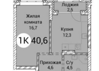 Продажа 1-комнатной квартиры, 40.6 м2, Новосибирская область, Овражная улица, 2А