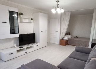 Сдается 1-ком. квартира, 48 м2, Сочи, улица Островского, 1