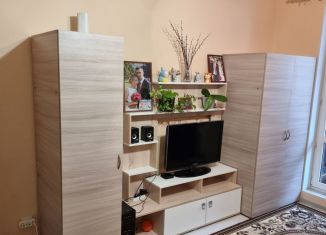 Сдам квартиру студию, 24 м2, Санкт-Петербург, Пулковское шоссе, 73к3