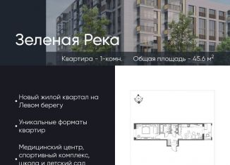 Продажа 1-комнатной квартиры, 45.6 м2, Омская область, микрорайон Зелёная Река, 11