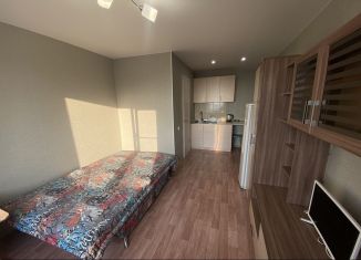 Сдается в аренду квартира студия, 17.5 м2, Хабаровский край, Тихоокеанская улица, 199