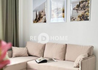 Сдается в аренду квартира студия, 27.5 м2, Пермь, улица Борцов Революции, 1Ак5