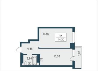 Продаю 1-комнатную квартиру, 45 м2, Новосибирск, Кировский район, улица Зорге, 229/3