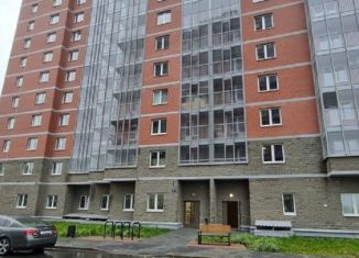 Сдается в аренду 1-комнатная квартира, 40 м2, Санкт-Петербург, Гудиловская улица, 9, муниципальный округ Рыбацкое