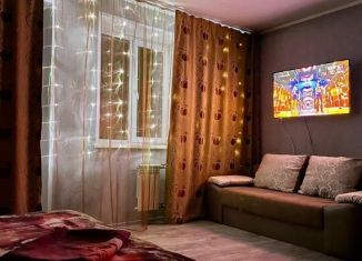 Продается квартира студия, 28.7 м2, Абакан, улица Некрасова, 18