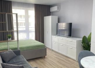 Продается квартира студия, 30.4 м2, Сочи, ЖК Флора, улица Искры, 66/9к1