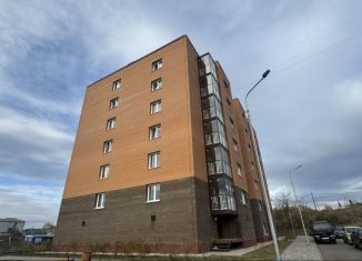 Продаю 2-комнатную квартиру, 55 м2, посёлок Солонцы, Новая улица, 1Б