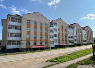 Продажа двухкомнатной квартиры, 58.1 м2, село Месягутово, Электрическая улица, 15